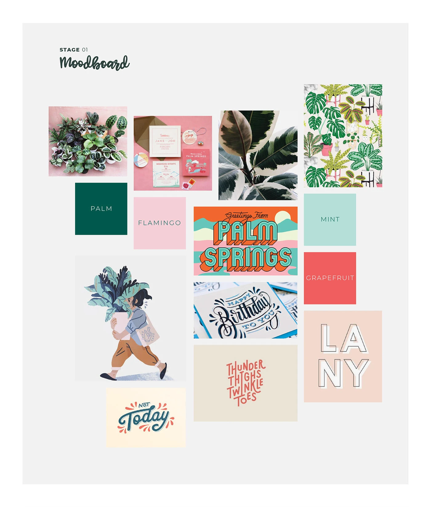 Harry Houseplant illustrated logo design — project image 3 of 11