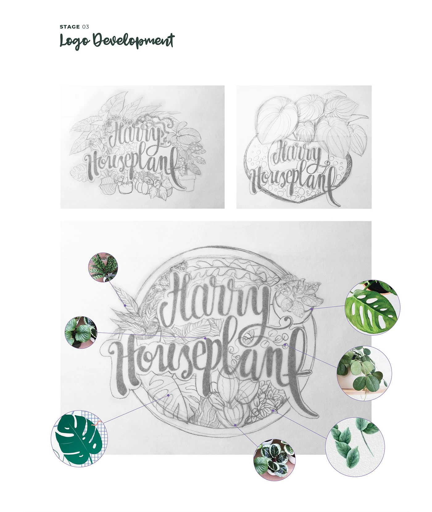 Harry Houseplant illustrated logo design — project image 5 of 11