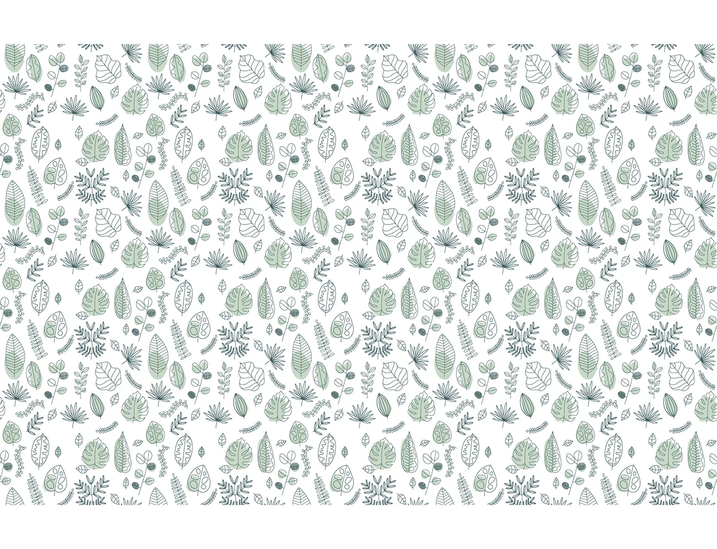 Harry Houseplant illustrated logo design — project image 8 of 11