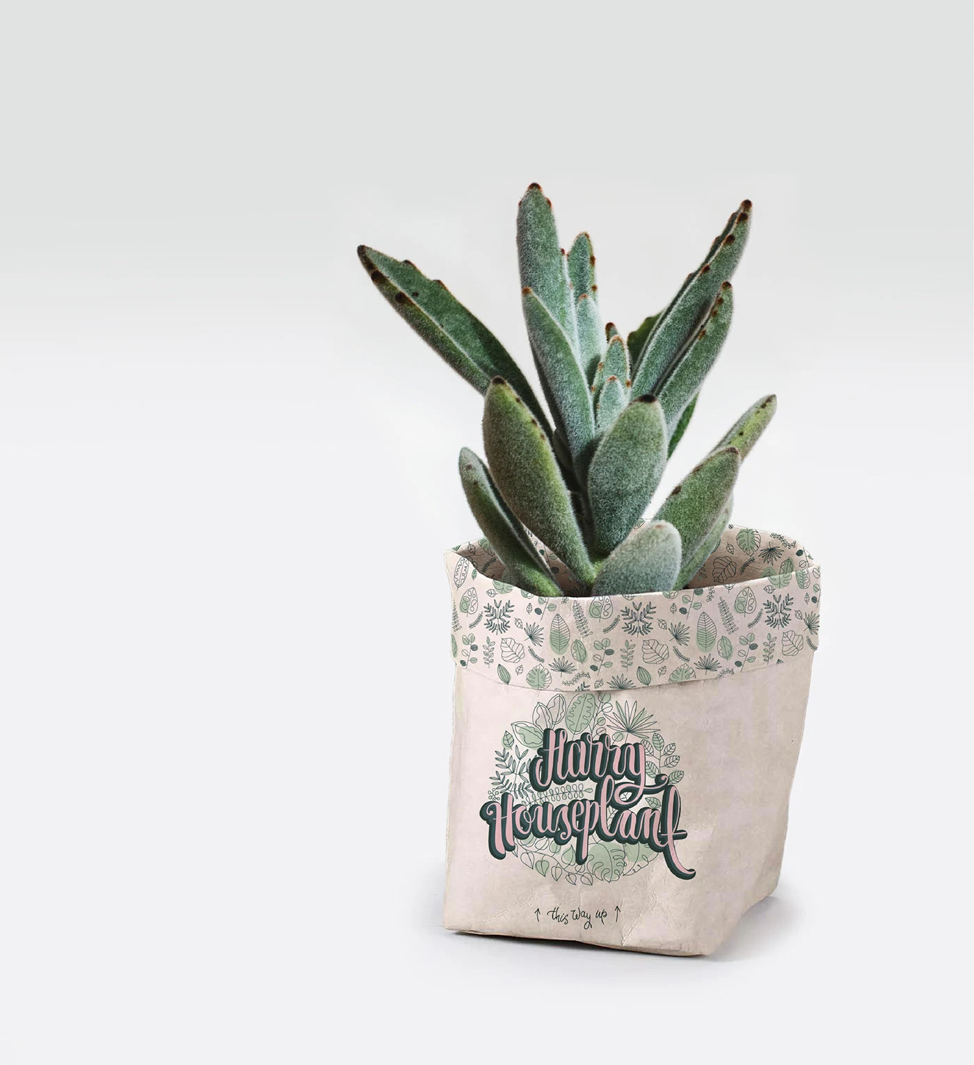 Harry Houseplant illustrated logo design — project image 10 of 11