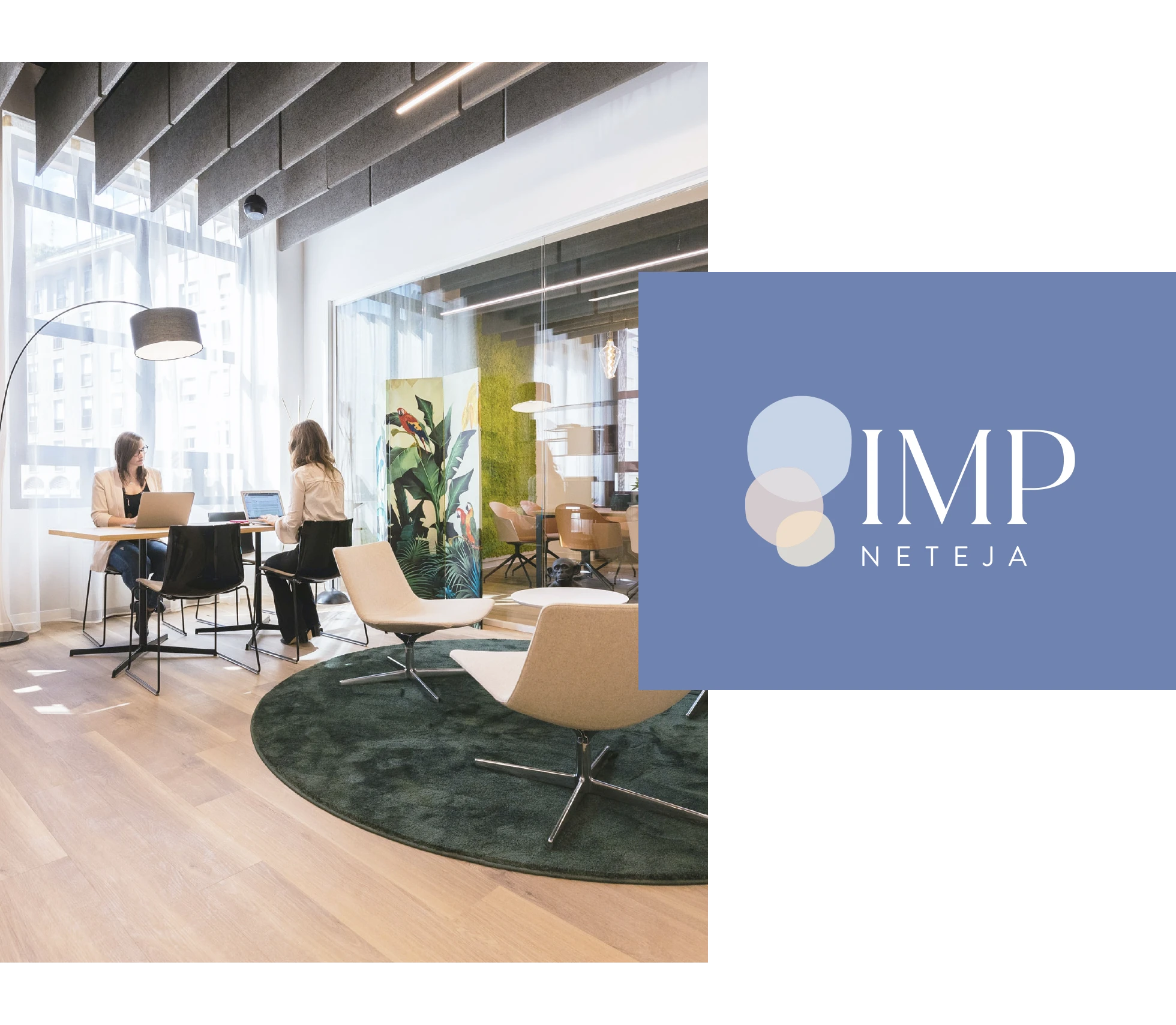 IMP Neteja branding and website design — project image 4 of 7