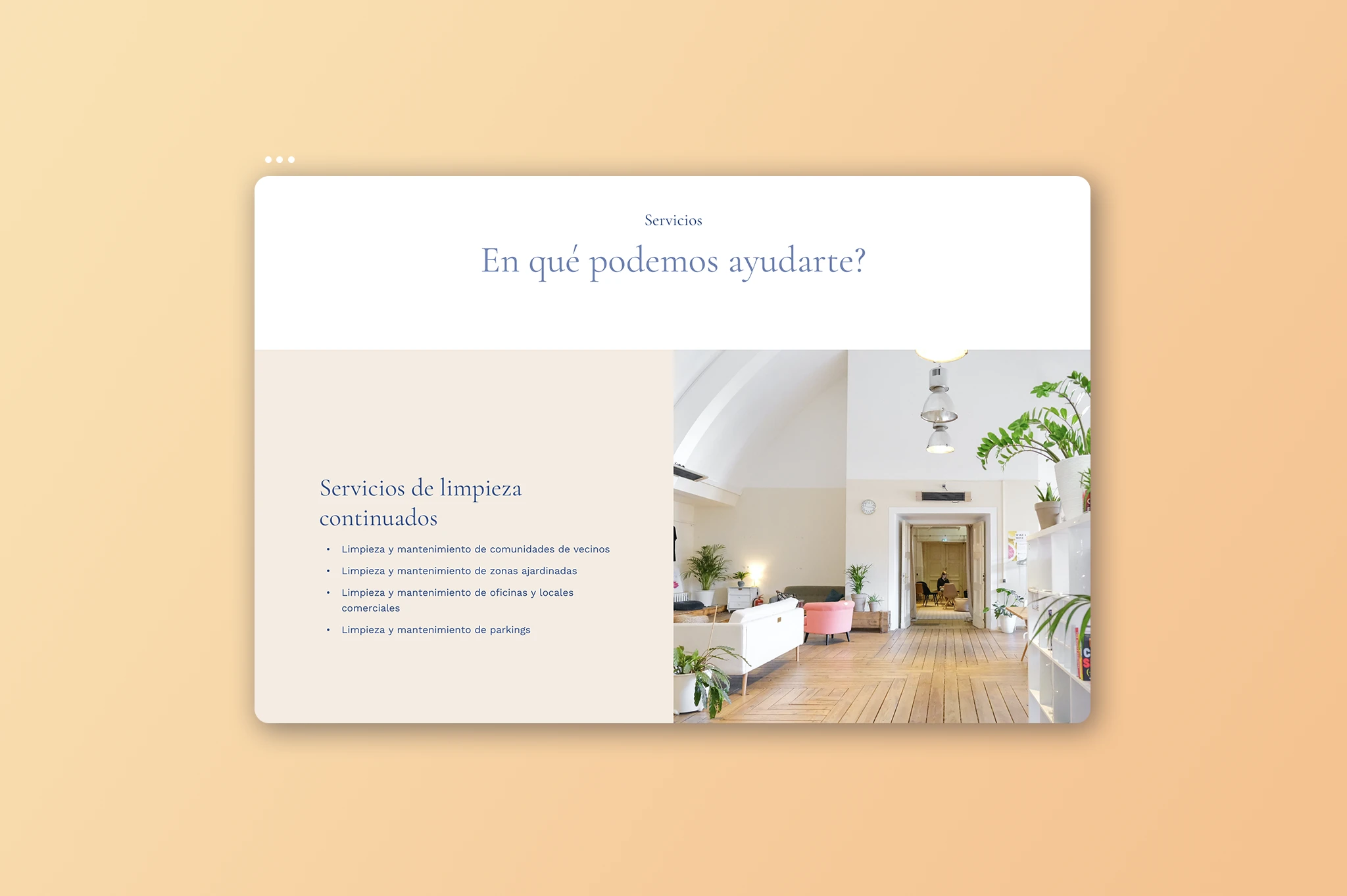 IMP Neteja branding and website design — project image 7 of 7