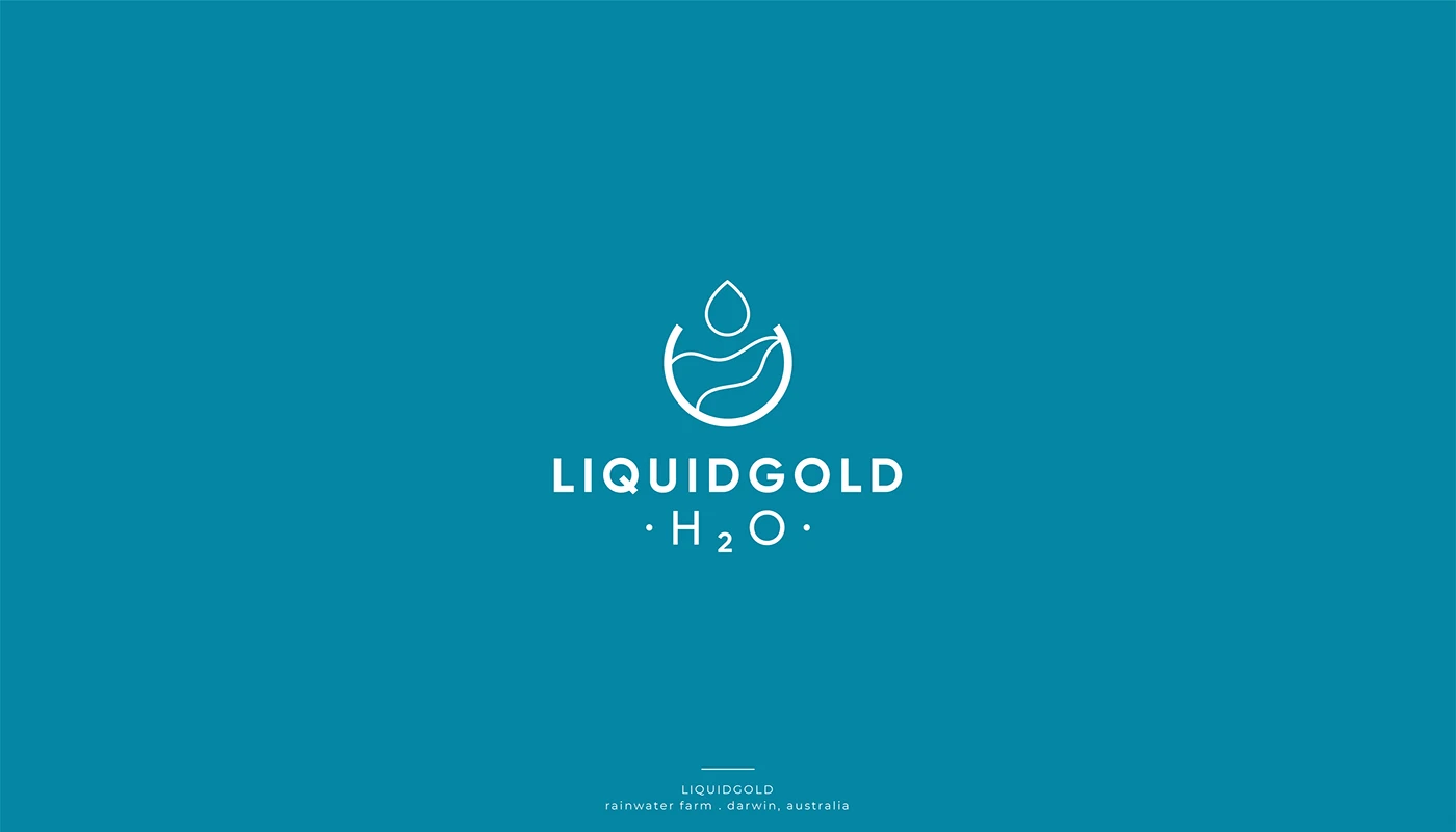 Logo and identity collection from 2020 — project image 13 of 19