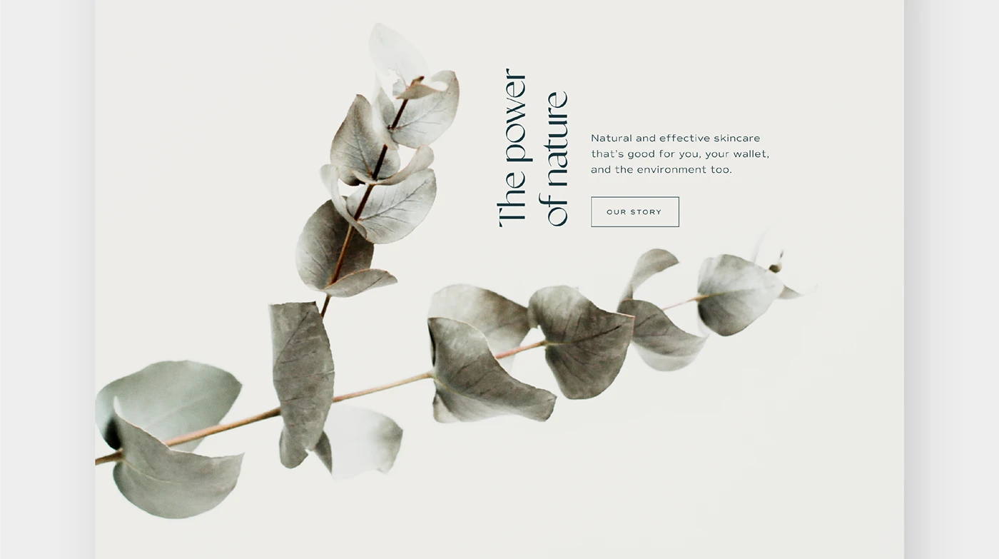 Sukin natural skincare concept rebrand — project image 14 of 21